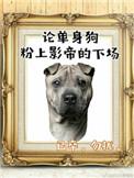 影帝酷爱撒糖娱乐圈
