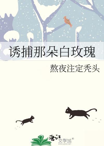 诱捕那朵白玫瑰讲的什么