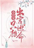 小宫女只想出宫逃命全文在线阅读高葵