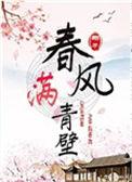 春风满青壁第几章圆房