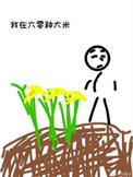 六零年代大米多少钱一斤