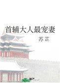 首辅大人宠妻日常人物介绍