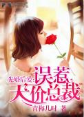 先婚后爱误惹天价总裁 青梅几时