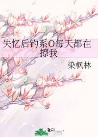 救赎反派的快穿推荐