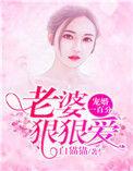 狠宠娇妻老公慢点宠