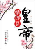 情郎是皇帝作者碧云天