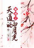 她成了天道的白月光百度