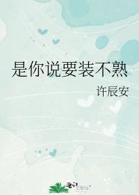 是你说要装不熟by许辰安百度