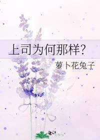 上司为何那样?笔趣阁