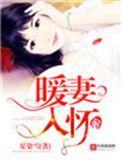 暖妻甜入骨全文