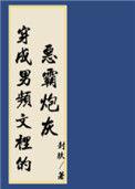 穿进男频搞基建封玖