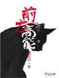 前方高能预警TXT