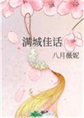 满城佳话讲什么