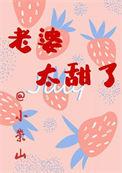 老婆太甜了全文免费阅读