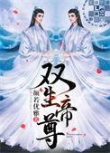 双生帝尊叶天动漫免费观看