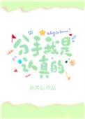 分手我是认真的13章