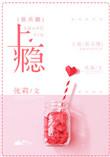 上瘾娱乐圈今婳番外