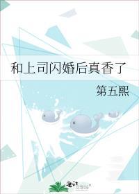 和上司闪婚后真香了免费阅读全文