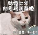 结婚七年了他要跟我离婚