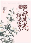 替身白月光攻