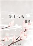 宠上心头作者甜糯