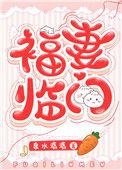 福妻临门免费
