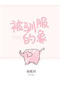 被驯服的象表达了什么