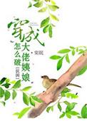 穿成大佬姨娘怎么破百度