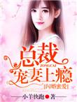 闪婚蜜爱总裁独宠小甜妻