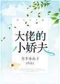大佬的小娇夫大结局