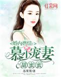 婚途强宠慕少的隐婚娇妻