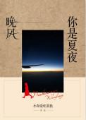 你是夏夜晚风免费阅读