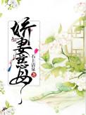 书名娇妻作者迦南
