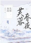 芙蓉春夜免费阅读