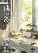 偶然相爱实体书