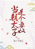 当太子什么意思