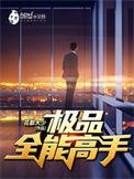 极品全能高手动漫什么时候上映