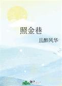 照金巷txt全文免费阅读