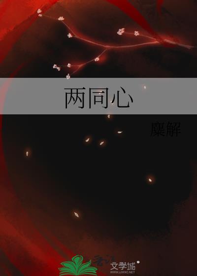 两同心txt