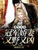 重生九零冠军娇妻又野又凶全文阅读
