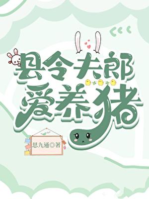 县令夫妇的日常免费