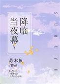 当夜幕降临华灯初放是哪首歌的歌词