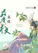古代药膳手札朽月十五完整阅读