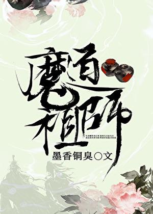 魔道祖师图片
