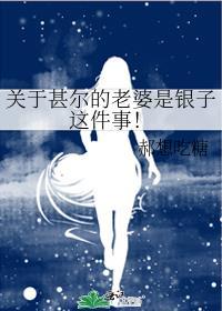 关于甚尔的老婆是银子这件事 ...