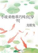 徒弟太乖了怎么办阅读在线