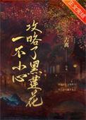 一不小心攻略了黑莲花TXT全本