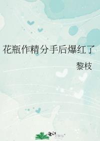 花瓶[娱乐圈