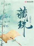 藏珠全文