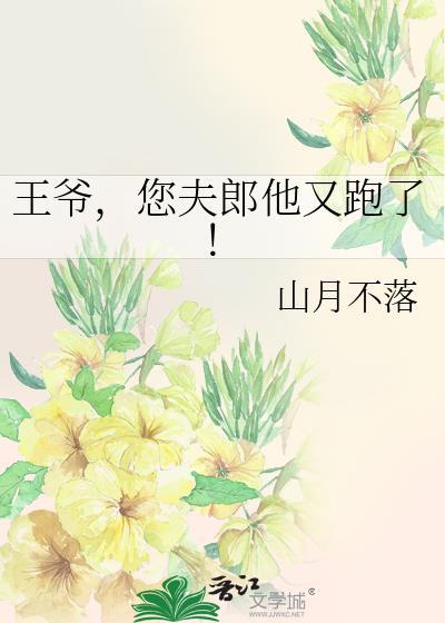 王爷您夫郎他又跑了txt